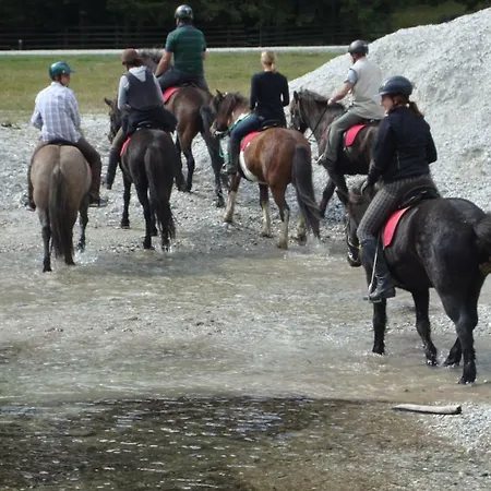 Ferienhaeuser Stohl Casa vacanze *