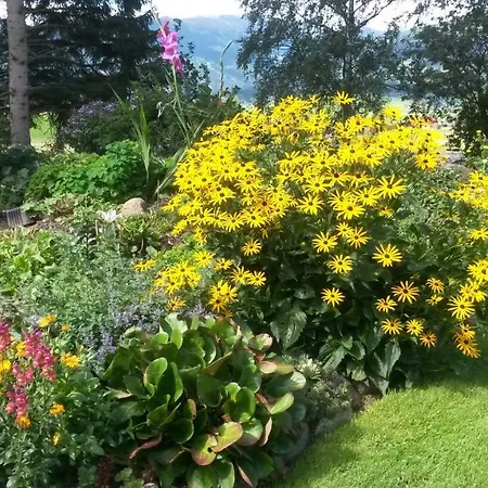 Ferienhaeuser Stohl Tatil Evi