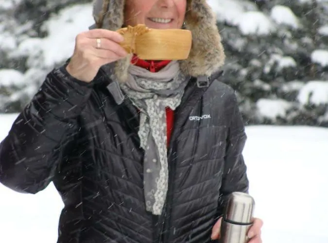 Nyaraló Ferienhaeuser Stohl Mariapfarr