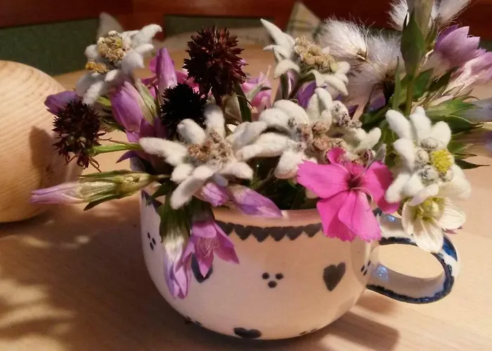 Σπίτι διακοπών Ferienhaeuser Stohl