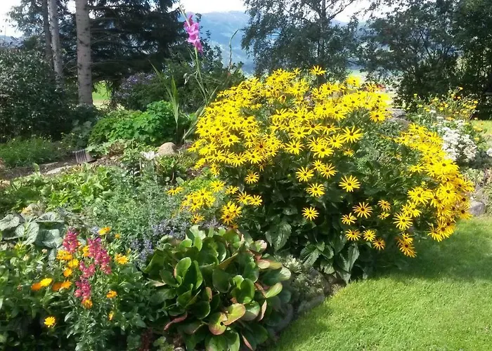 Ferienhaeuser Stohl 別荘